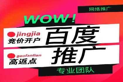 揭秘百度推广：成功案例背后的秘诀